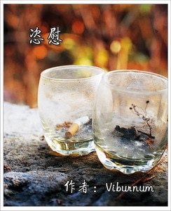 恣慰